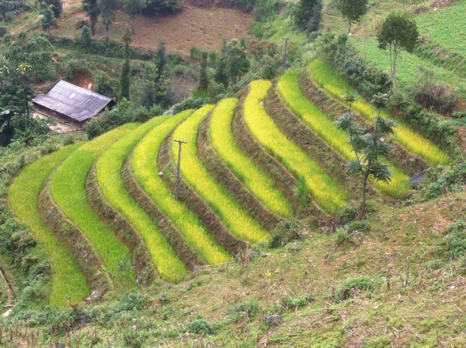 Flower Hmong Homestay Bac Ha  Exterior foto